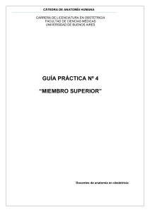 GUÍA PRÁCTICA Nº 4 “MIEMBRO SUPERIOR”