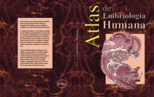 Atlas de Embriología Humana