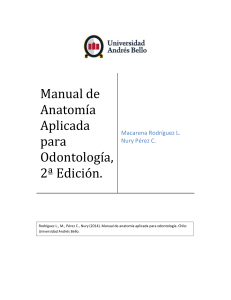 Manual de Anatomía Aplicada para Odontología, 2ª Edición.