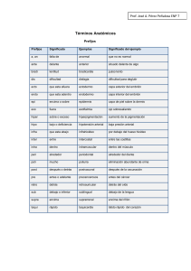 Términos Anatómicos - Educación para la Salud