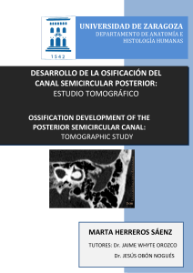 desarrollo de la osificación del canal semicircular posterior