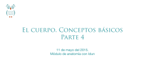 18-02-2015 El cuerpo conceptos basicos 2 copia 2