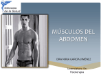 músculos del abdomen - fisioterapia UNITEC