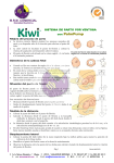 Kiwi - MRM Comercial
