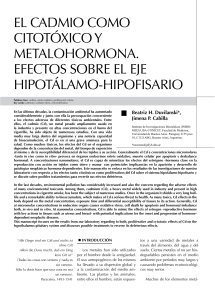 El cadmio como citotóxico y metalohormona. Efectos sobre el eje