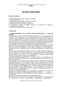 sistema endocrino