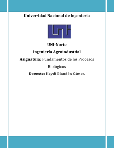 Universidad Nacional de Ingeniería UNI