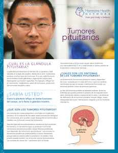 pituitarios - Hormone Health Network