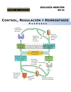 BM35 Control, Regulación y Homeostasis