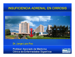 insuficiencia adrenal en cirrosis insuficiencia adrenal en cirrosis