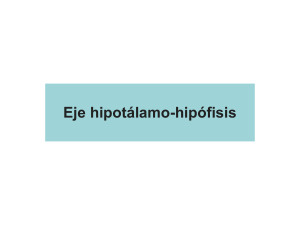 Transparencias de Endocrinología_2 (Hipófisis)