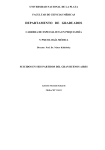 Suicidios en seis partidos del Gran buenos Aires