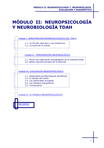 módulo ii: neuropsicología y neurobiología tdah