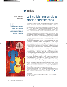 La insuficiencia cardiaca crónica en veterinaria