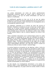 Leche de cabra transgénica: ¿medicina contra E. coli?