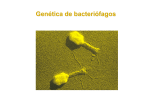 genética bacteriana1