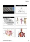 Envolvente - Procesos Constructivos