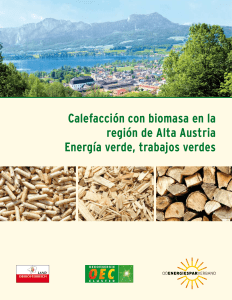 Calefacción con biomasa en la región de Alta Austria Energía verde