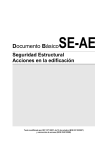 Documento BásicoSE-AE