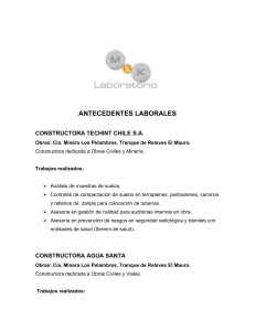 ANTECEDENTES LABORALES