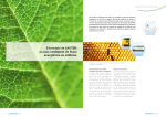 EY-modulo de saUtER: La guía inteligente de flujos energéticos en