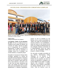 LAS DELICIAS: ORGANIZACI&Oacute;N COMUNITARIA EJEMPLAR