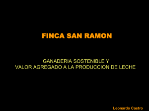 Finca Model San Ramon