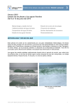 Verano 2010 Estado de las playas y las aguas litorales