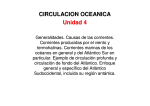 CIRCULACION OCEANICA Unidad 4