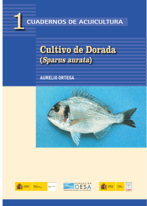 Cultivo de Dorada - Observatorio Español de Acuicultura