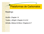 Plataformas de Carbonatos