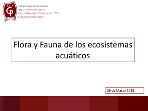 Presentación 4_Flora y fauna de los ecosistemas acuaticos