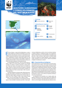 Isla de Alboran y conos volcanicos_WWF Espana