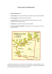 Torcas de los Palancares