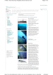 Página 1 de 4 El Mina - Buceo Mar Rojo, Hurghada, directorio de