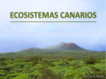 Ecosistemas canarios