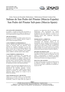 Salinas de San Pedro del Pinatar (Murcia-España)