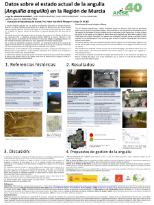 Datos sobre el estado actual de la anguila (Anguilla anguilla)
