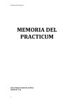 MEMORIA DEL PRACTICUM