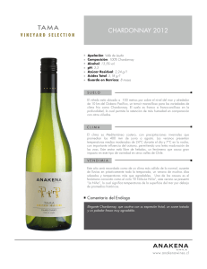 TAMA VS Chardonnay 12 ESP