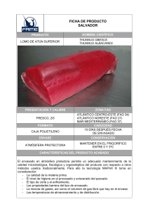 Lomo Atún Salvador Pieza 3 Kilos