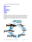 Activity 9: Salmon and Steelhead Life Stories Web