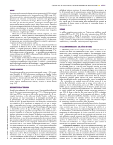 El oído interno y las enfermedades del laberinto óseo