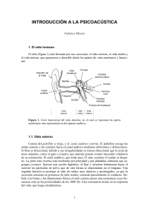 INTRODUCCIÓN A LA PSICOACÚSTICA