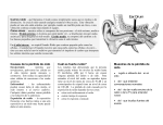 Causas de la pérdida de oído Cuál es fuerte ruido? Muestras de la