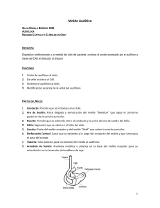 Resumen Molde Auditivo - Cl&iacute;nica Auditiva Audinsa