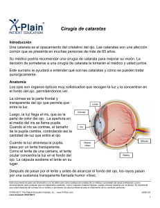 Cataract Surgery (Spanish) - Patient Education Institute