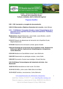Programa GESOC espa&ntilde;ol 2015 - GESOC Sociedad de Superficie