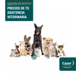 Seguros para Mascotas - Perros y Gatos | Caser Seguros