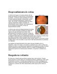 Desprendimiento de retina Rasgaduras retinales